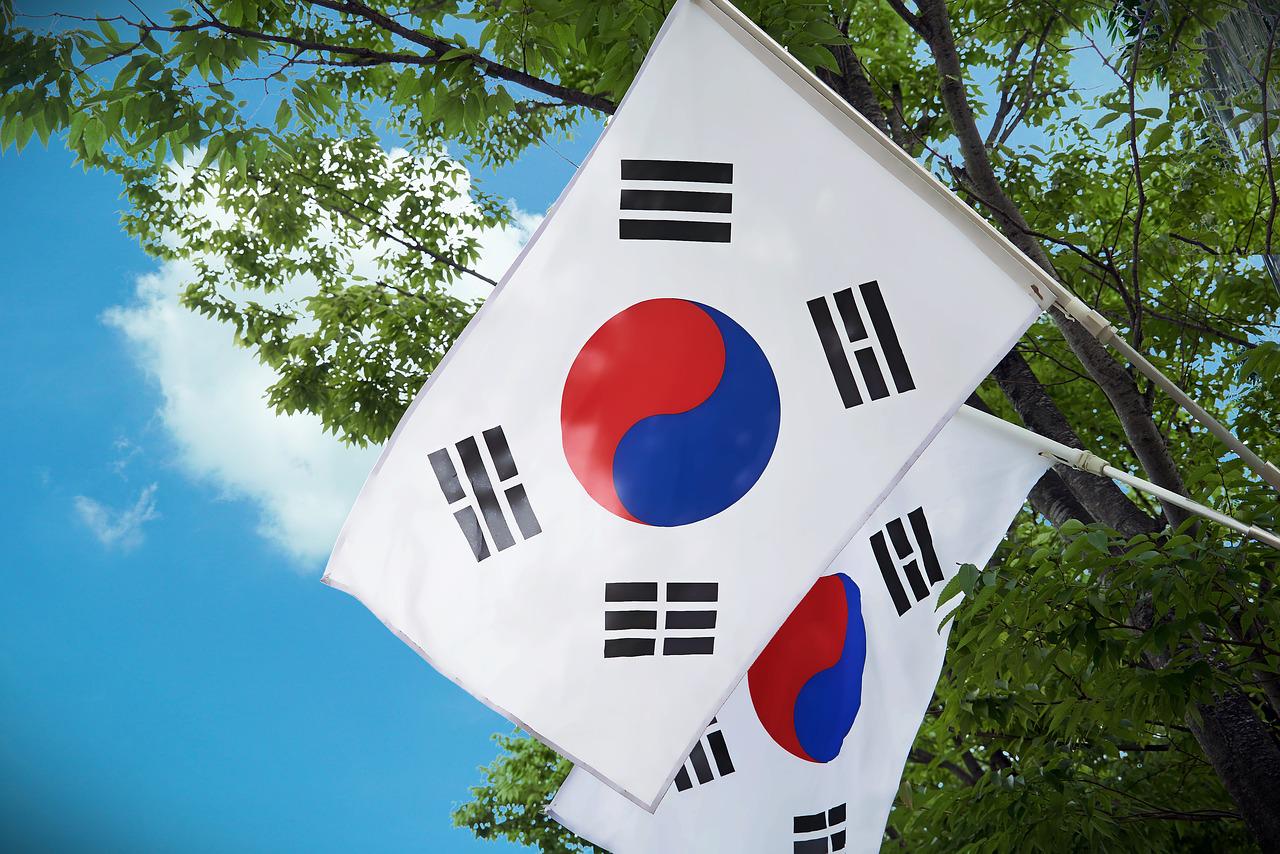 two south korea flags